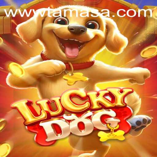 LuckyDog: Unleash the Joy of Winning with TAMASA